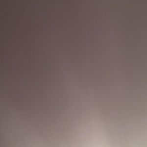 Meet your Posher, Quinn